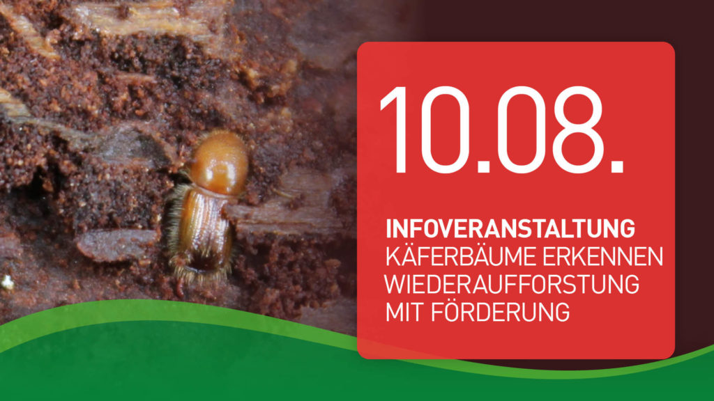 Infoveranstaltung, 10.08.