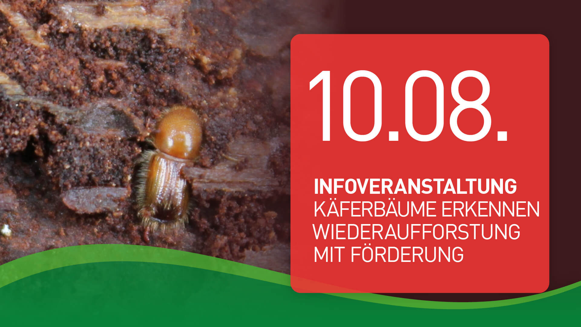 Mehr über den Artikel erfahren Infoveranstaltung, 10.08.