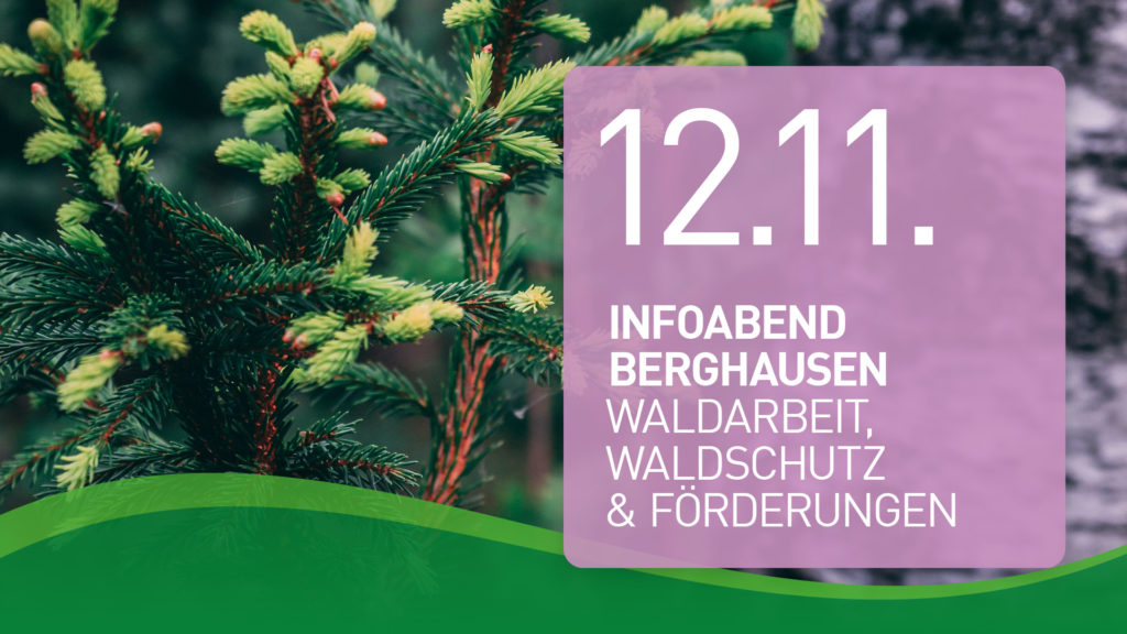 Infoabend, 12.11.